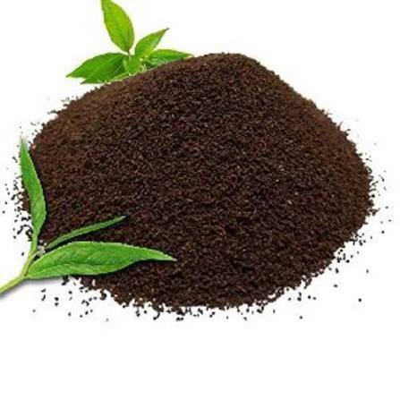 /Upload/Date_17_Jul_2026_04_41_07_TEA.jpg